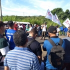 Trabalhadores da Merial Boehringer estão em estado de greve por cesta alimentação