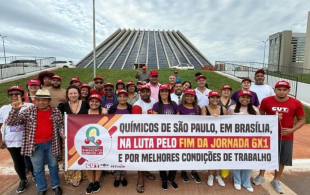 Químicos estão em Brasíia para a 2ª Marcha da Classe Trabalhadora