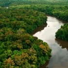 Governo extingue reserva natural de cobre da Amazônia para liberar extração